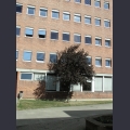 rentree2008_003.jpg